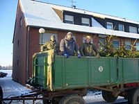 Weihnachtsbaum-Sammlung 2009