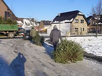 Weihnachtsbaum-Sammlung 2009