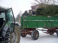 Weihnachtsbaum-Sammlung 2010