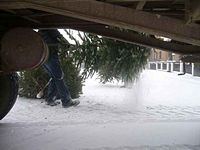 Weihnachtsbaum-Sammlung 2010