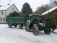 Weihnachtsbaum-Sammlung 2010