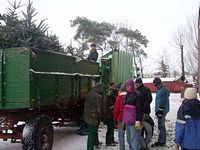 Weihnachtsbaum-Sammlung 2010