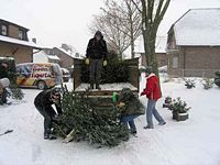 Weihnachtsbaum-Sammlung 2010