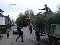 Weihnachtsbaum-Sammlung 2014