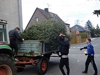 Weihnachtsbaum-Sammlung 2014