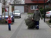 Weihnachtsbaum-Sammlung 2014