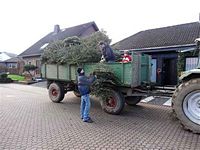 Weihnachtsbaum-Sammlung 2014