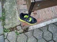 Turnschuh gefunden