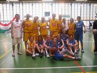 Tigers in Paris