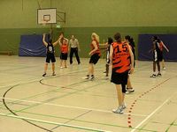 TV-Tigers gegen Telekom B. Bonn