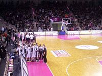 Tigers bei Telekom Baskets Bonn