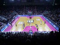 Tigers bei Telekom Baskets Bonn