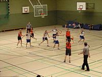 TV-Tigers gegen Brauweiler