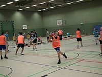 Dreikönigsturnier 2013