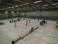 Dreikönigsturnier 2013