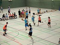 Dreikönigsturnier 2013