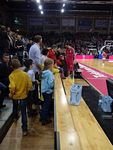 Tigers bei Telekom-Baskets