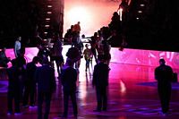 Tigers bei Telekom-Baskets