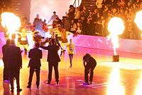 Tigers bei Telekom-Baskets
