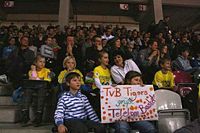 Tigers bei Telekom-Baskets