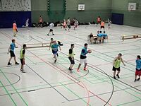 Dreikönigsturnier 2016