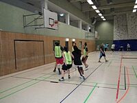 Dreikönigsturnier 2016