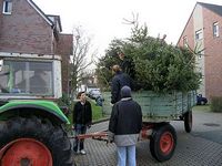 Weihnachtsbaum-Sammlung 2007