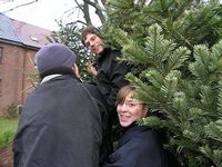 Weihnachtsbaum-Sammlung 2007