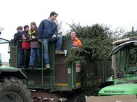 Weihnachtsbaum-Sammlung 2007