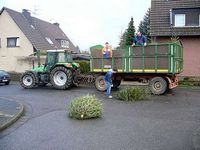 Weihnachtsbaum-Sammlung 2007