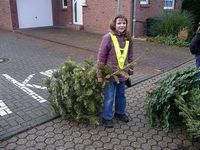 Weihnachtsbaum-Sammlung 2007