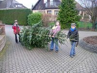 Weihnachtsbaum-Sammlung 2007