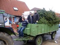 Weihnachtsbaum-Sammlung 2007