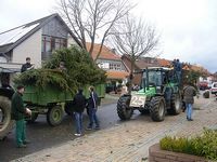 Weihnachtsbaum-Sammlung 2007