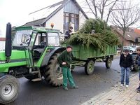 Weihnachtsbaum-Sammlung 2007