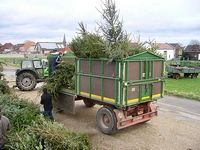 Weihnachtsbaum-Sammlung 2007