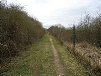 Wanderweg durch die Kiesgrube