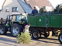 Weihnachtsbaum-Sammlung 2013