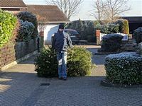 Weihnachtsbaum-Sammlung 2013