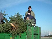 Weihnachtsbaum-Sammlung 2013