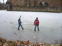 Winter im Park