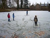 Winter im Park