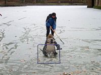 Winter im Park