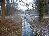 Winter im Park