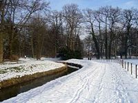 Winter 2010