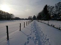 Winterbilder