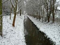 Winterbilder