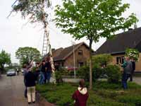 Maibaum der Mohle 2002