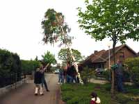 Maibaum der Mohle 2002